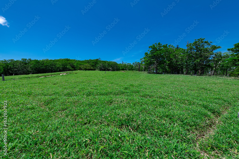 Obraz premium 大台ヶ原牛石ヶ原