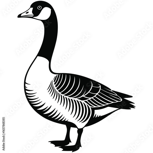 goose isolated on white