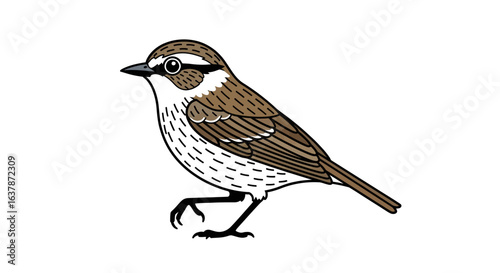 Illustration of a small brown and white bird with a distinctive striped head and black eyes walking to the left with its legs extended in a walking motion against a white background