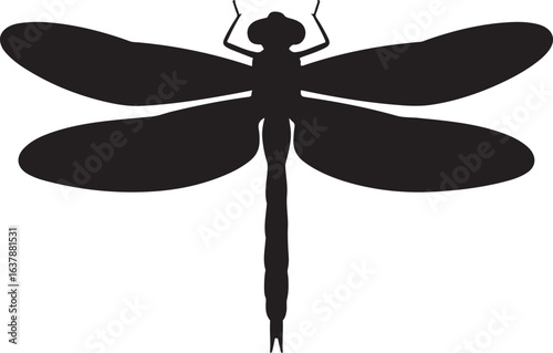 Dragonfly silhouette vector illustration of an insect with detailed wings