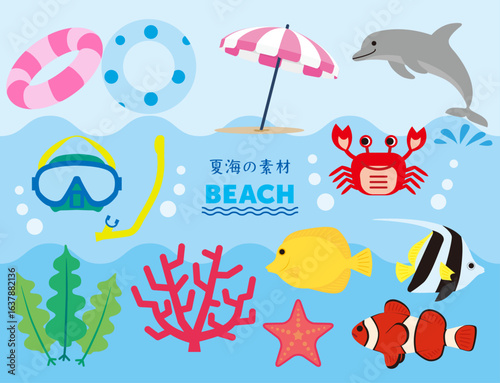海　夏　ビーチパラソル　イルカ　スキューバ　浮き輪　熱帯魚　珊瑚　わかめ　カラーイラスト