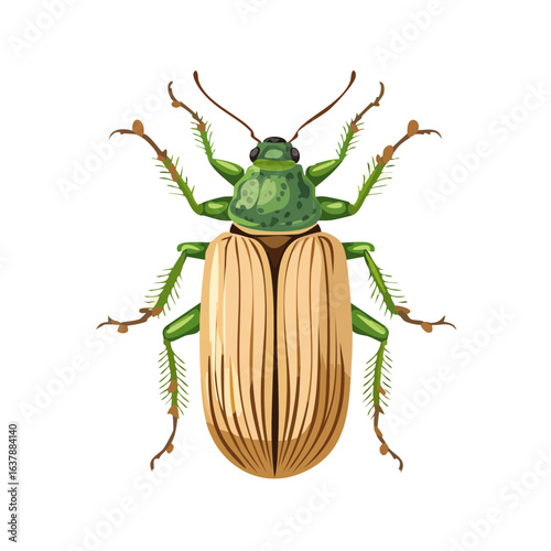 Green beetle illustration insect design.  Beetle features detailed wings, legs, and antennae on a black background.