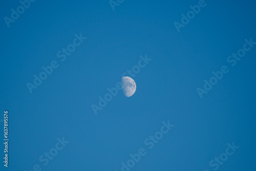 moon in the sky