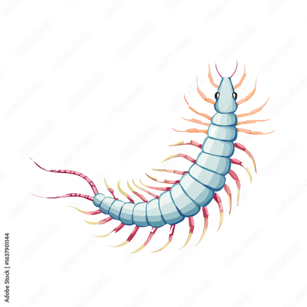 Obraz premium Cartoon centipede vector illustration on black background. A cute segmented bug crawling.