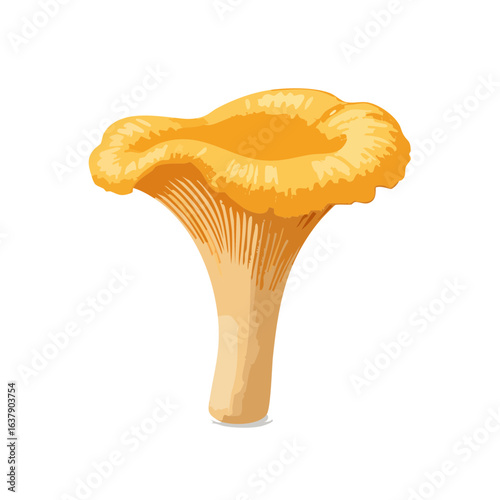 Isolated golden chanterelle mushroom against black background; edible wild fungus, organic ingredient, culinary illustration