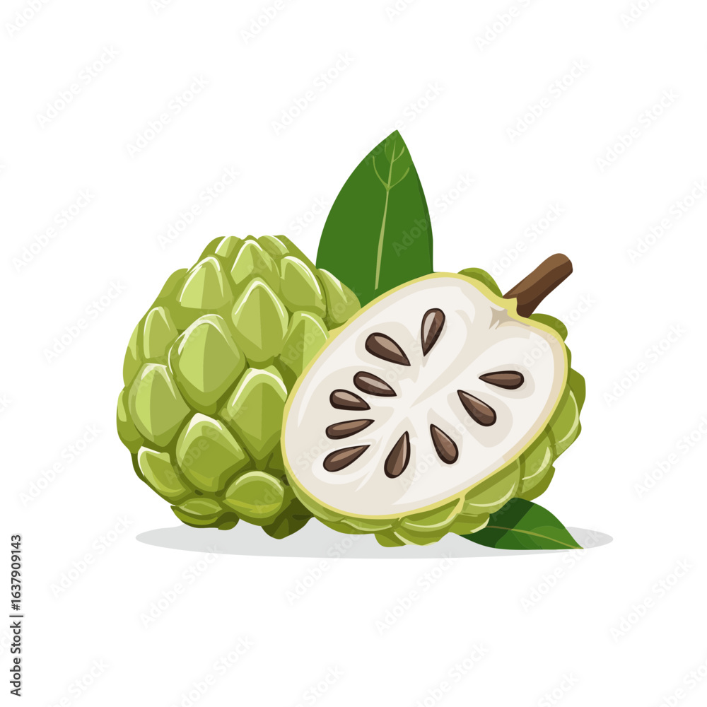 Obraz premium Custard apple illustration whole and sliced with leaves. Tropical fruit drawing on black background