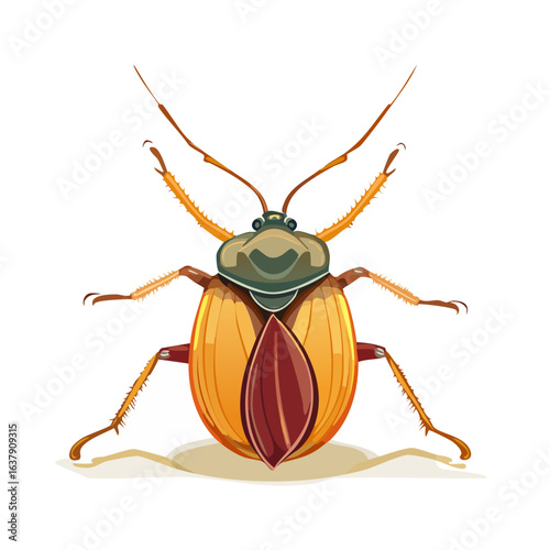 Isolated beetle illustration on black background showing insect anatomy and colorful beetle markings for graphic design