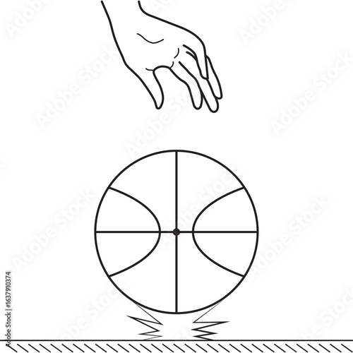 Hand dropping basketball ball on white background, bounce, gravity test. Object falling down. Newton idea universal law. School, education lesson experiment. Weight and mass. Inertia, motion. Physics