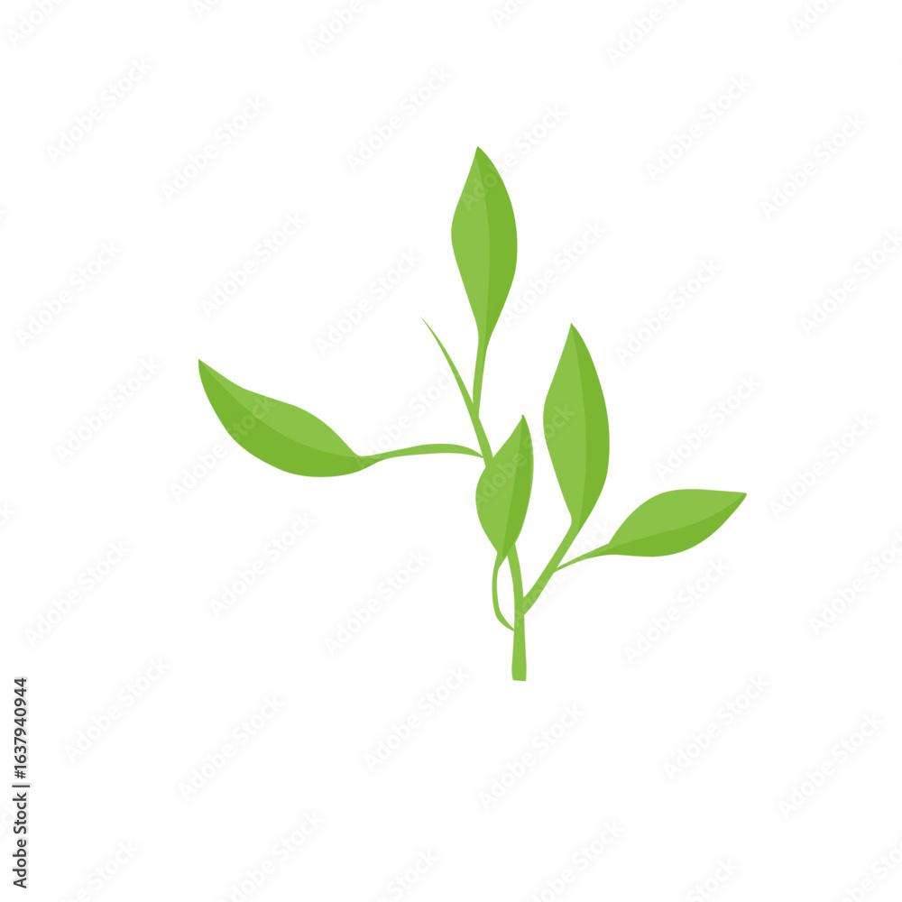 Obraz premium vector natural green leaf branch