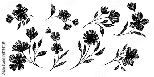 Flower abstract hand drawn brush ink or chalk stroke. Sketch hand drawn silhouette floral plant, leaf grunge abstract vector illustration. Simple flower, leaf charcoal, pencil, crayon style elements