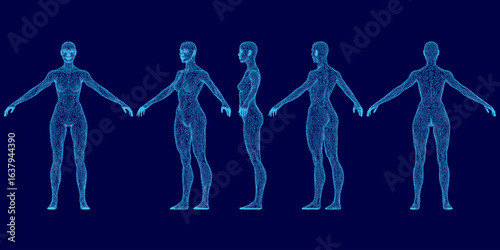 A female wireframe figure stands with outstretched limbs on a blue background, showcasing human anatomy. Her tilted head and detailed facial features are clearly defined.