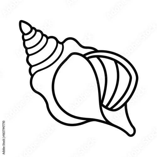 simple conch shell line art on white background