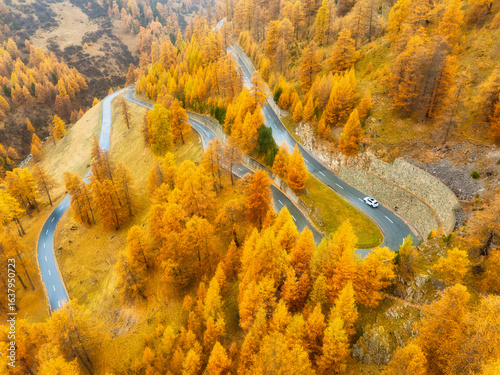 Drone view of a road with curves. Asphalt road in the middle of the forest. A...