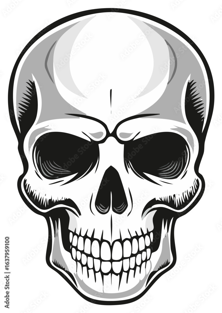 Fototapeta premium Detailed black and white human skull illustration with shaded contours and teeth