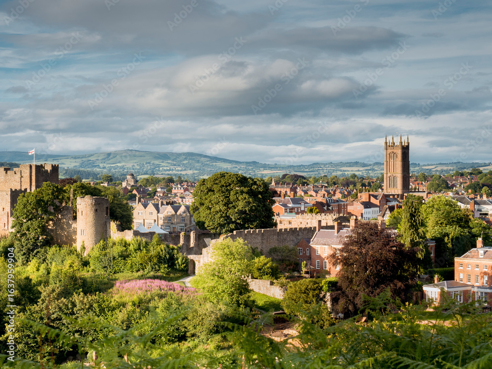 Fototapeta premium Ludlow View
