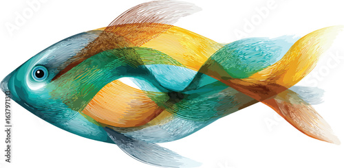 Abstract colorful fish graphic design