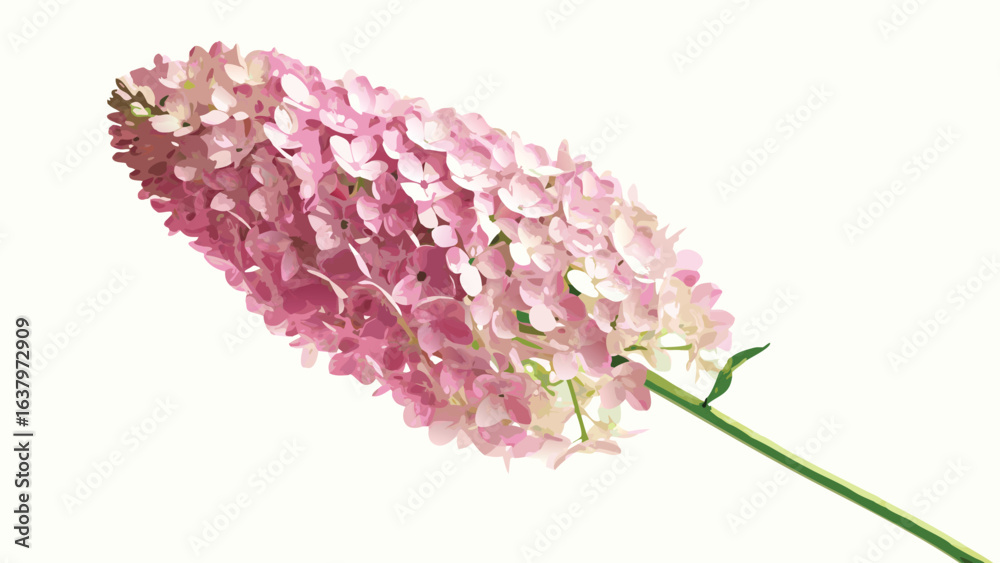 Obraz premium A single stem of pink hydrangea flowers with a green stem against a white background is displayed here