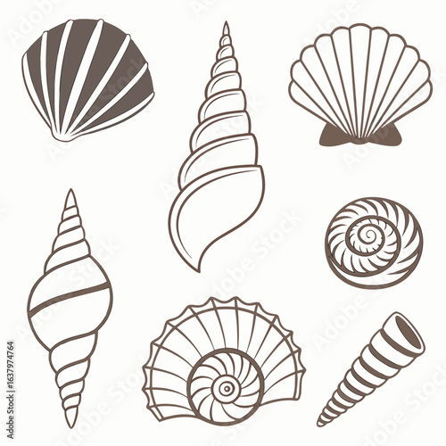 Collection of nine brown and white seashell silhouettes on a light background conch