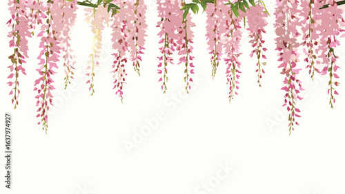 Illustration of wisteria vines with pink flowers hanging down against a plain light background design scene