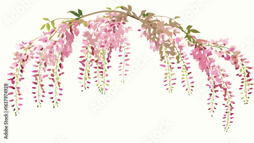 Illustration of a wisteria branch with cascading pink flowers and green leaves on a light background art