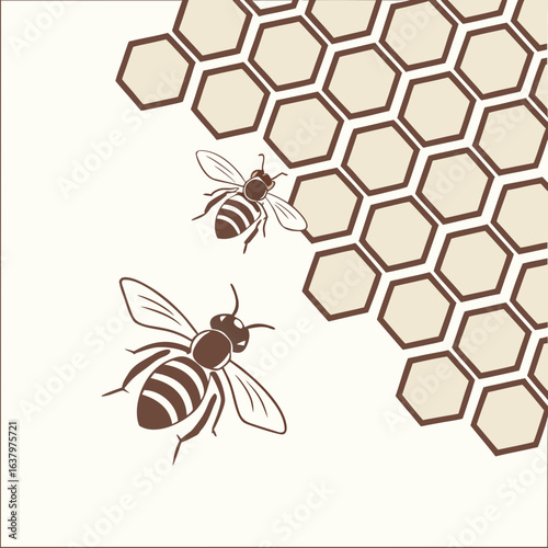 bee and honeycomb