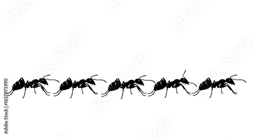 A monochrome line of ants marching in a row across a stark white background space