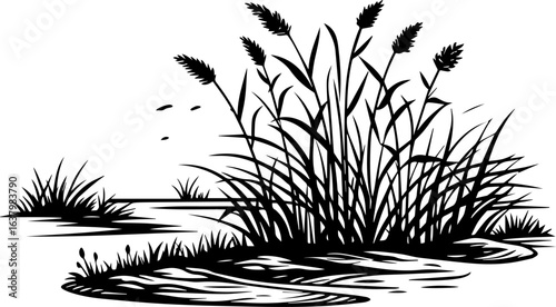 Black and White Woodcut Style Reeds and Cattails by a Pond or Lake
