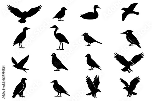 A set of birds  silhouettes, black and white, in various flying and perched bird positions, vector illustration