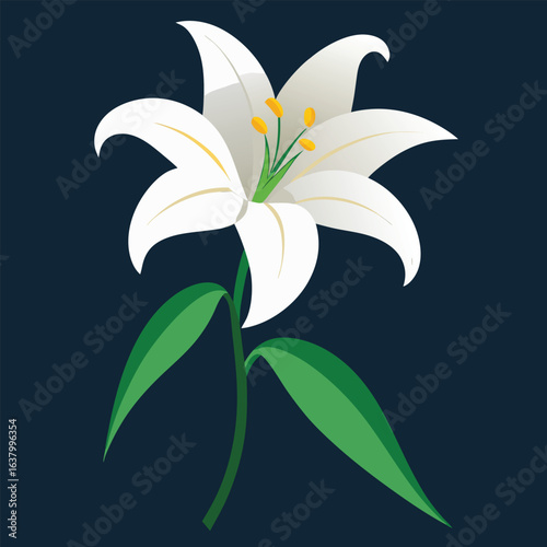 Lily flower in white with yellow pollen and green leaves botanical floral plant illustration