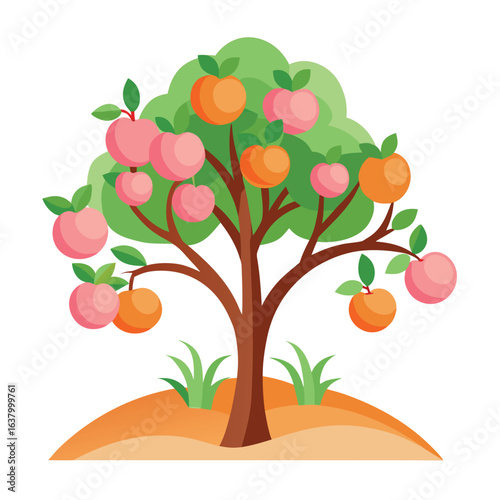 Peach tree with soft pink flowers and ripe peaches botanical orchard illustration