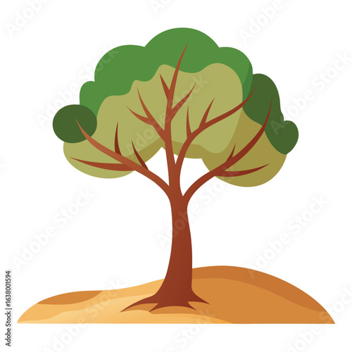 Sandalwood tree with aromatic bark and slender leaves in natural forest