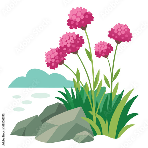 Sea thrift flower cluster in pink with coastal grass background