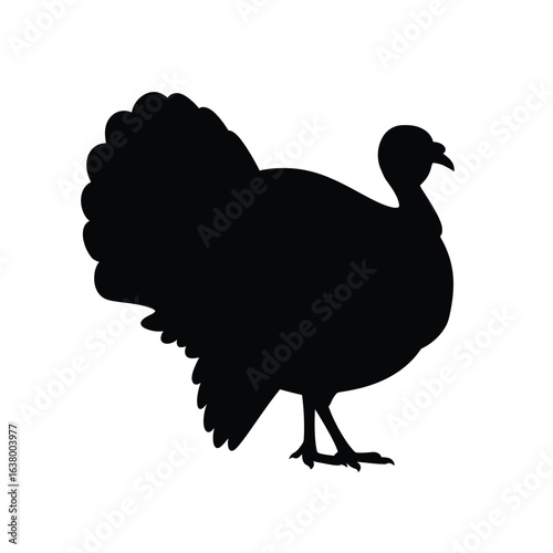 Silhouette of a turkey with tail feathers fanned out