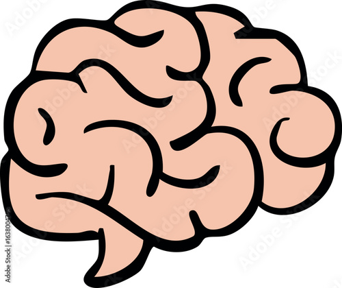 Human Brain Anatomy Illustration. Happy Halloween