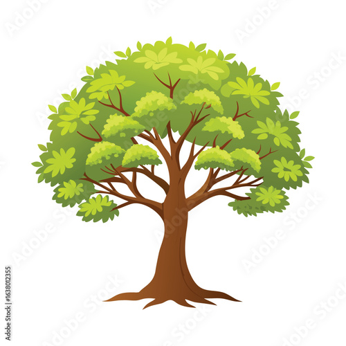 Beech Tree Isolated on White Background Detailed Vector Illustration of European Beech with Green Leaves and Branches
