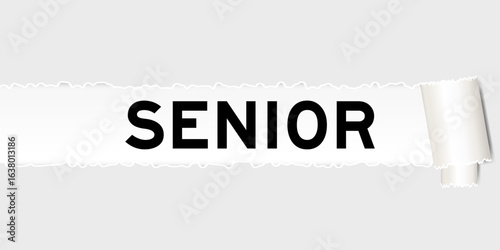 Ripped gray paper background that have word senior under torn part