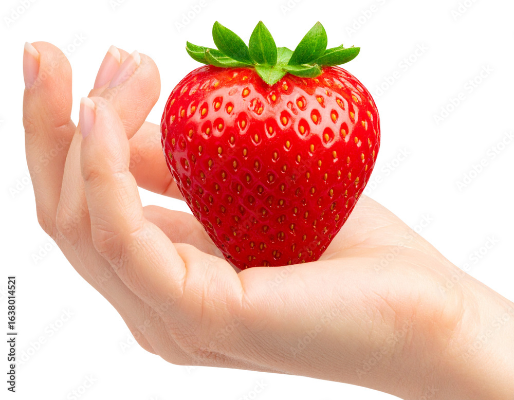 Obraz premium Close-Up of Hand Holding a Fresh Ripe Strawberry