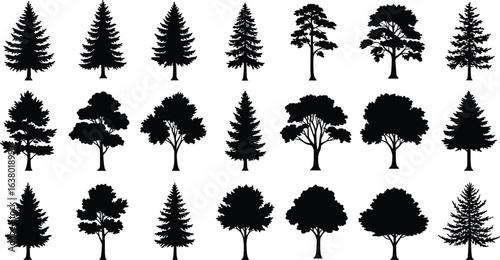 Silhouettes of twenty different trees, coniferous and deciduous types, botanical illustration, forest shapes, nature icons, educational, black graphic design