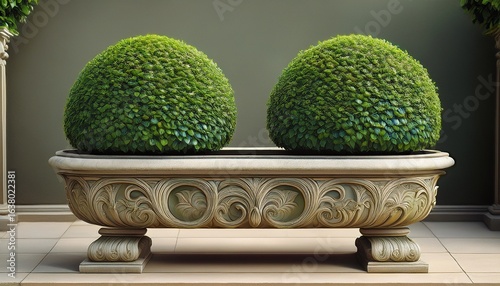 a decorative topiary plant with two round clusters of green leaves in an ornate stone planter