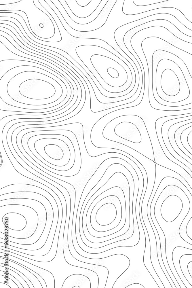 Fototapeta premium abstract wavy background. topographic contour background. Background of the topographic map. Abstract mountain terrain map background with abstract shape line texture.