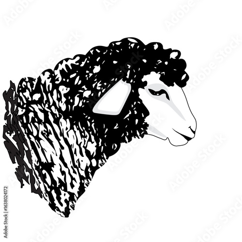 sheep or ram icon farm animal logo vector