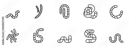 Collection of stylized worm icons; minimalist line art; black and white; playful yet sophisticated design; perfect for children's products, educational materials, or app design.