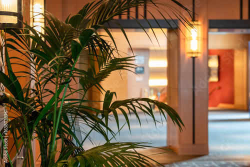 Indoor Tropical Plant by Elegant Hallway Lighting