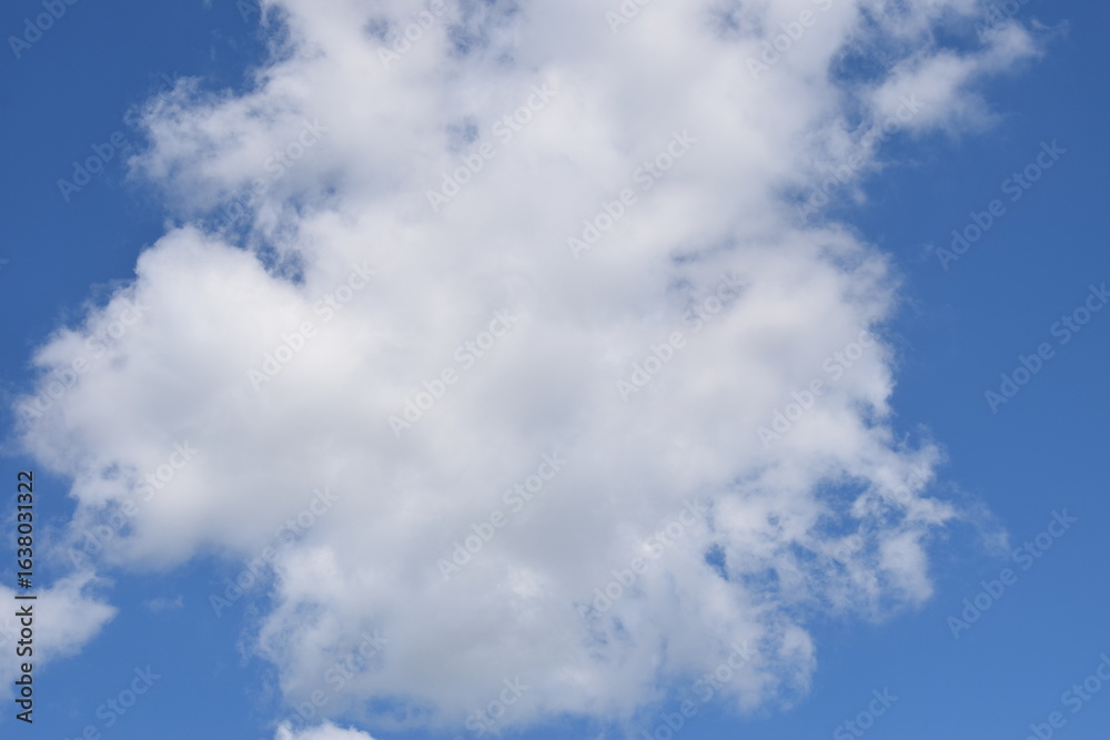 Obraz premium clouds in the sky