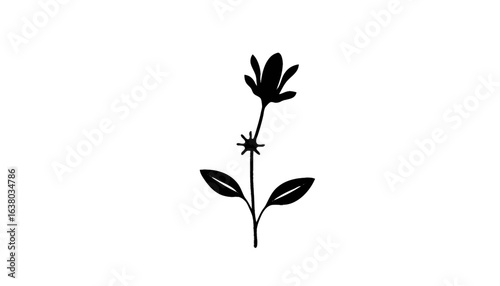 Black and white silhouette of a flowering plant vector illustration