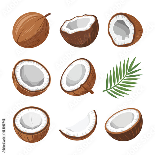 Collection of whole and halved coconuts with a palm frond