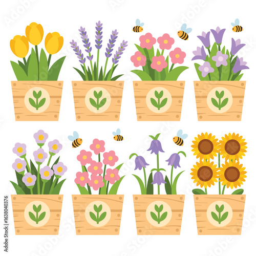 Collection of spring flowers in wooden planters with bees and lavender