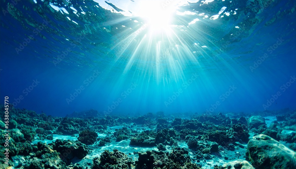 Fototapeta premium Sunlight Underwater Scene