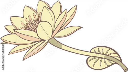 Delicate Pastel Yellow Lotus Flower Design.