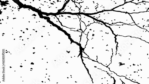 Silhouette of Tree Branches and Scattered Debris on Transparent Background.